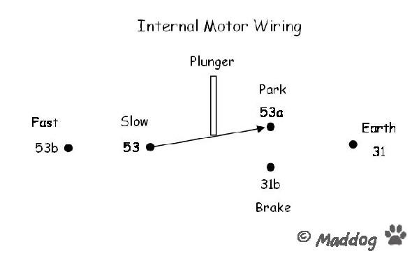 Internal_Motor_Wiring